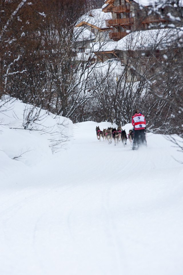 Isabelle Travadon en pleine effort avec ses huskies